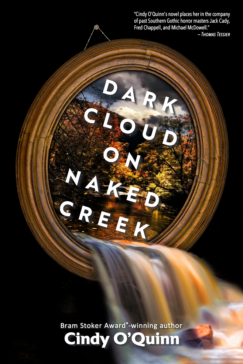 Dark Cloud on Naked Creek